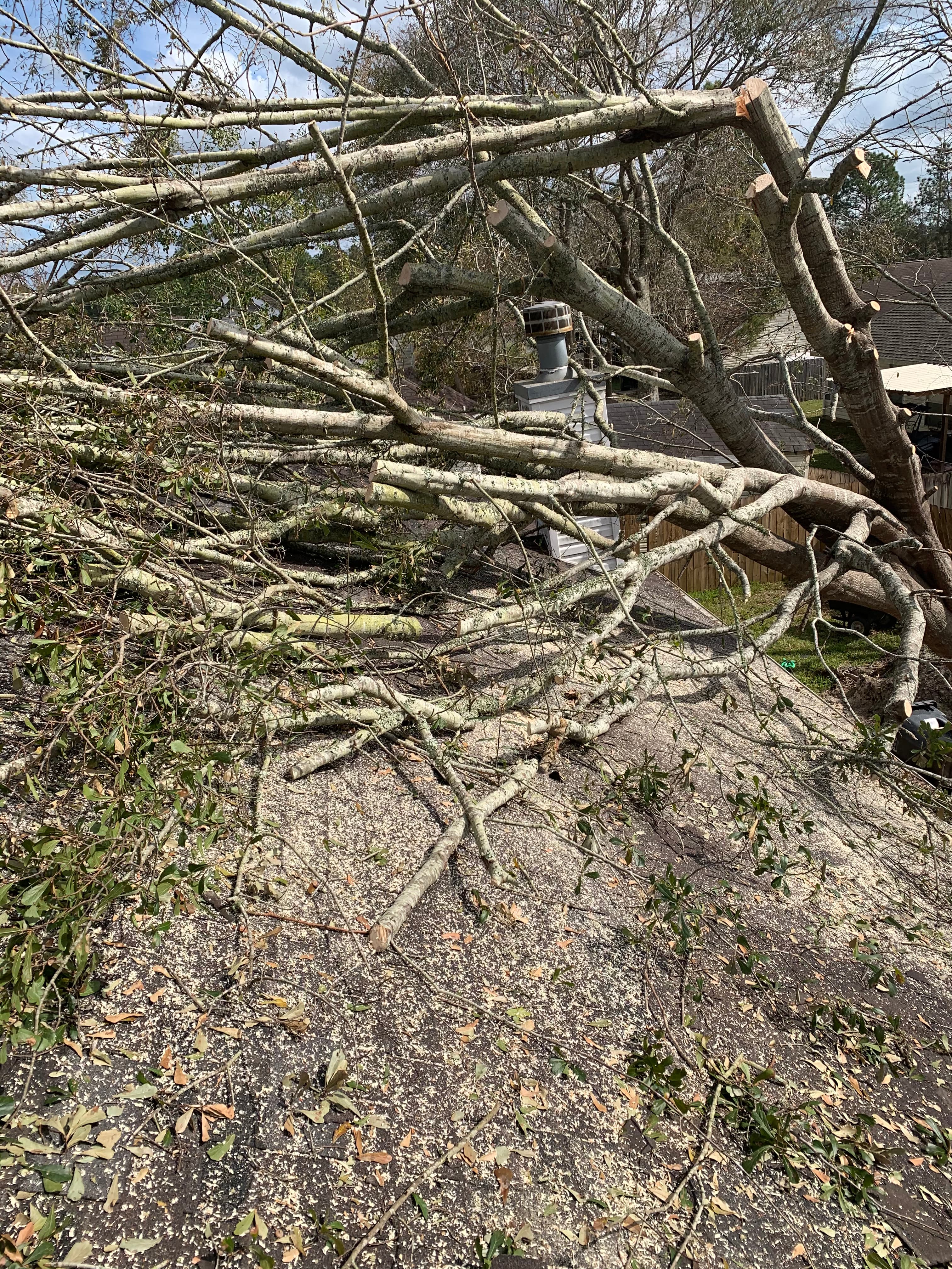 Help when a tree has fallen on your house