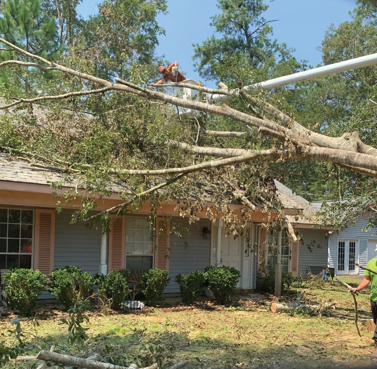 Removing a tree that's fallen on a home