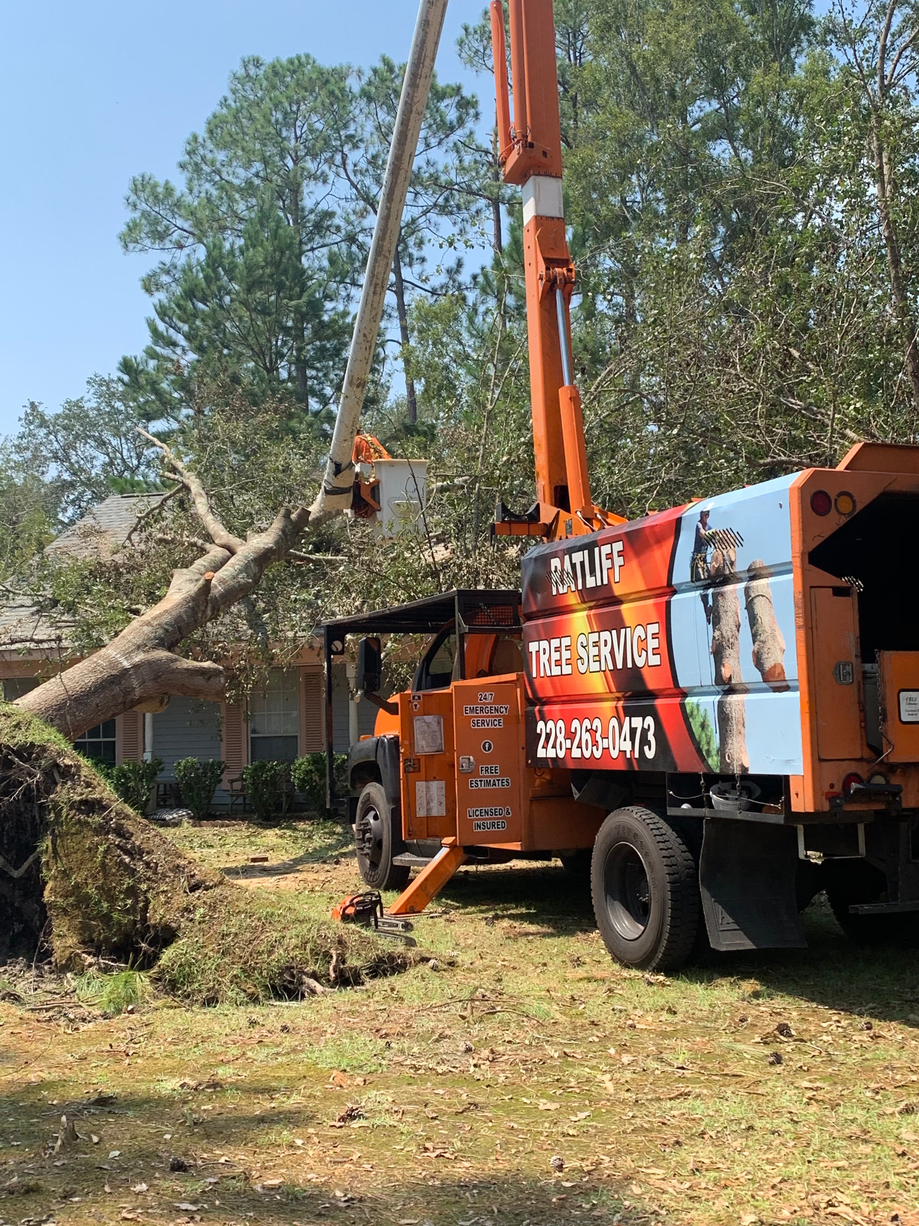 Emergency tree service Gulf Coast
