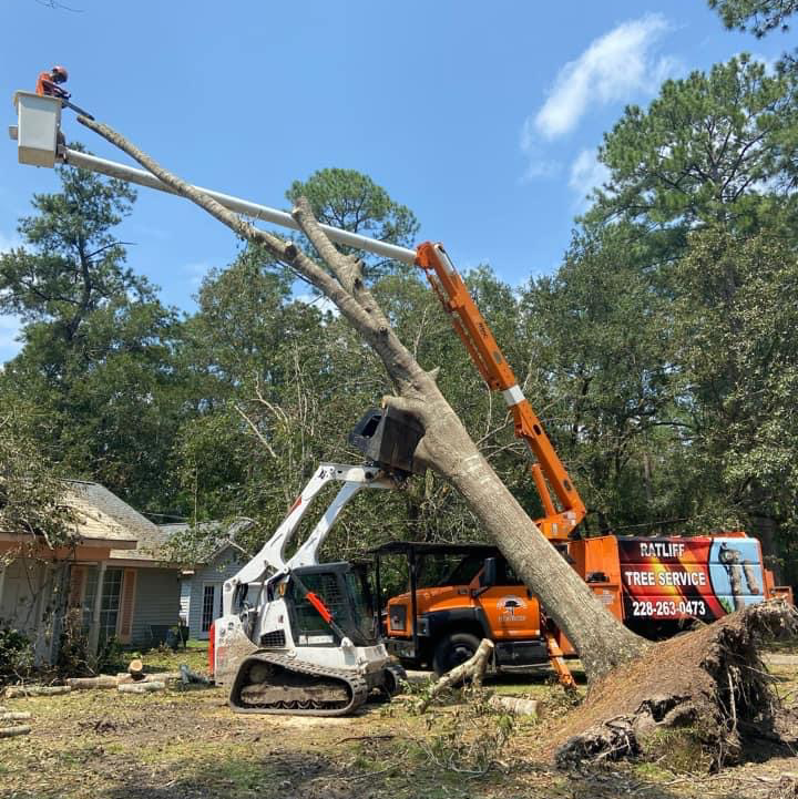Hurricane cleanup in the Gulf of Mexico