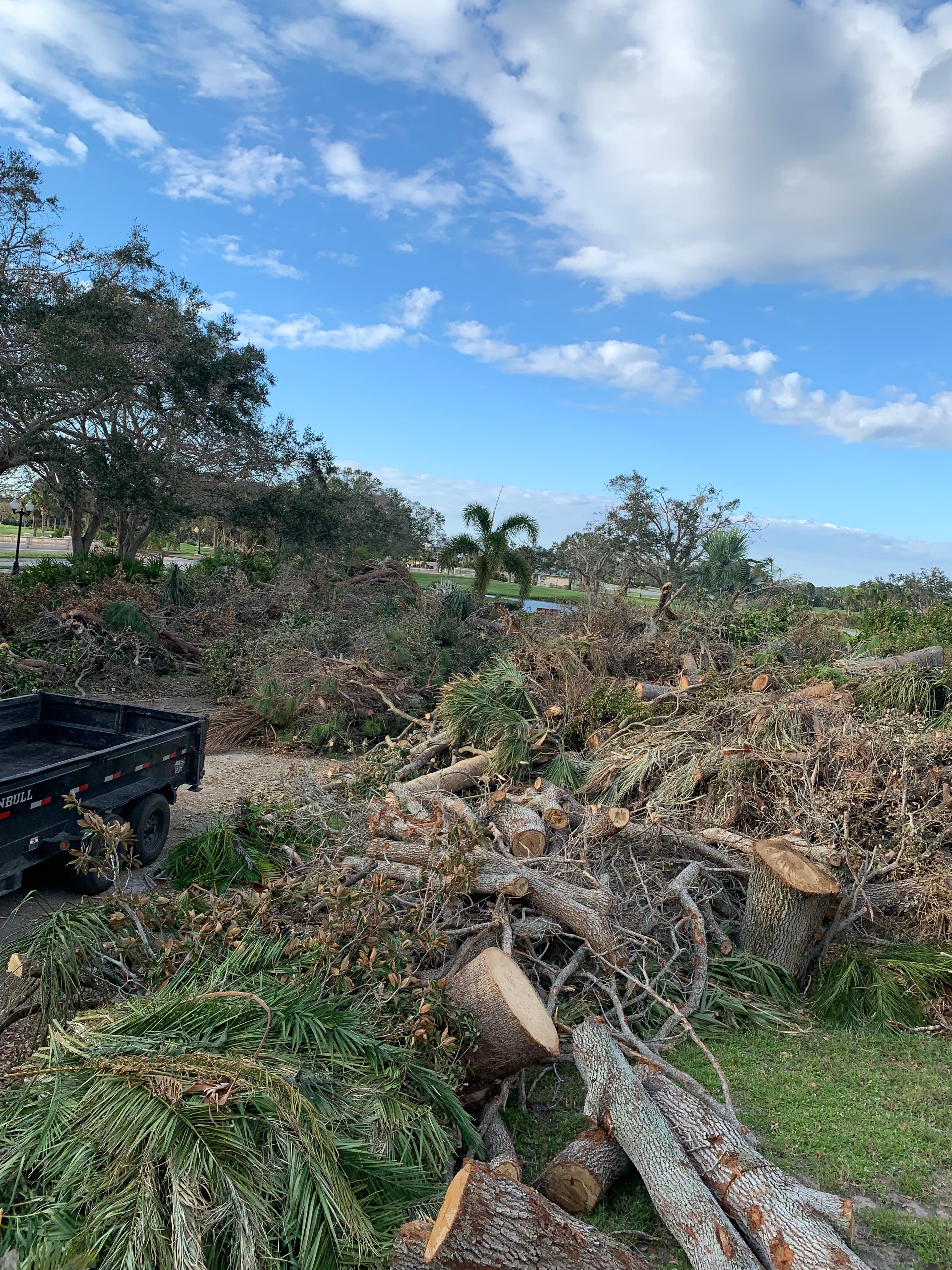 Hire our team for storm debris pickup
