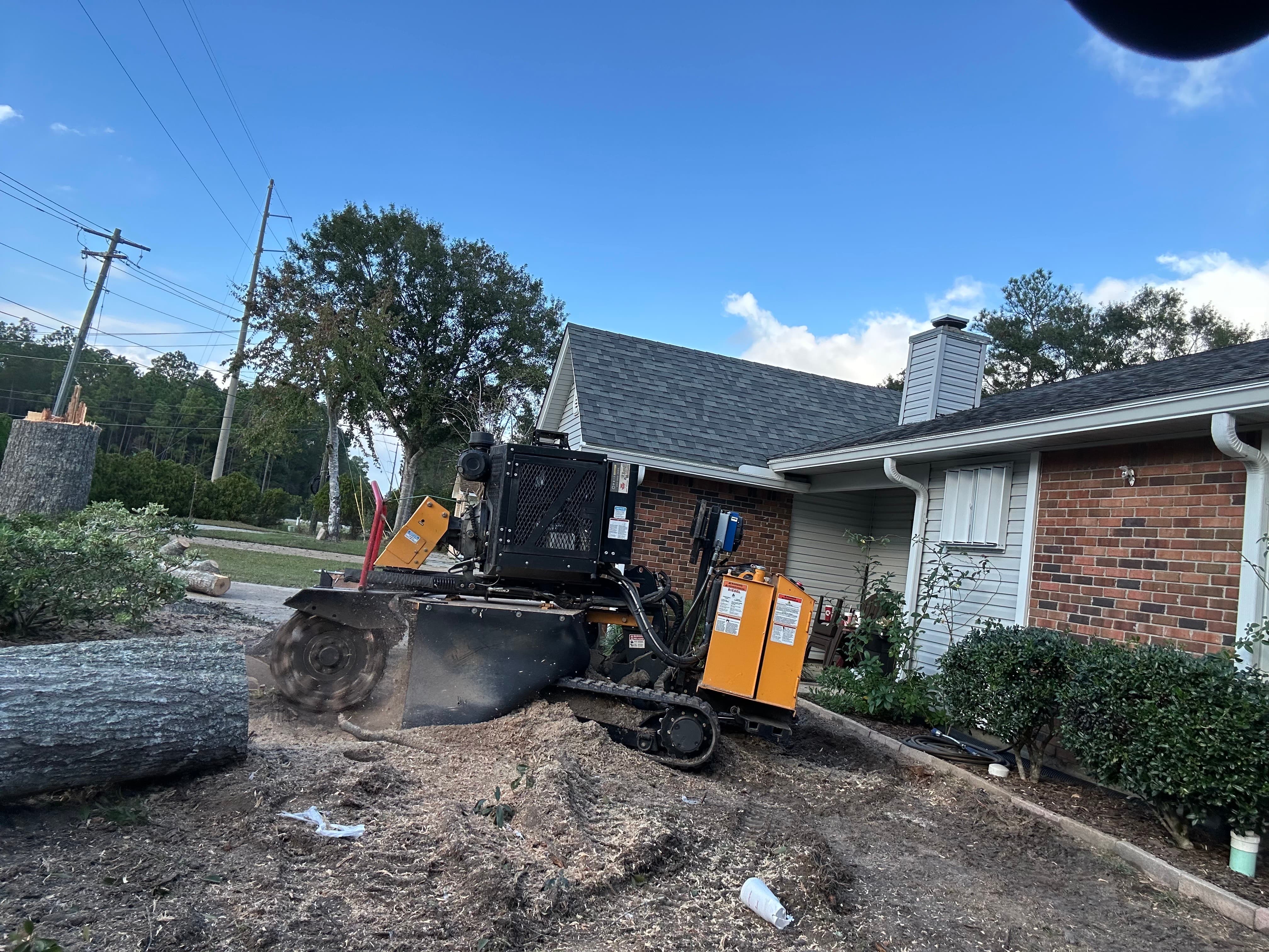 Stump grinding Biloxi, MS