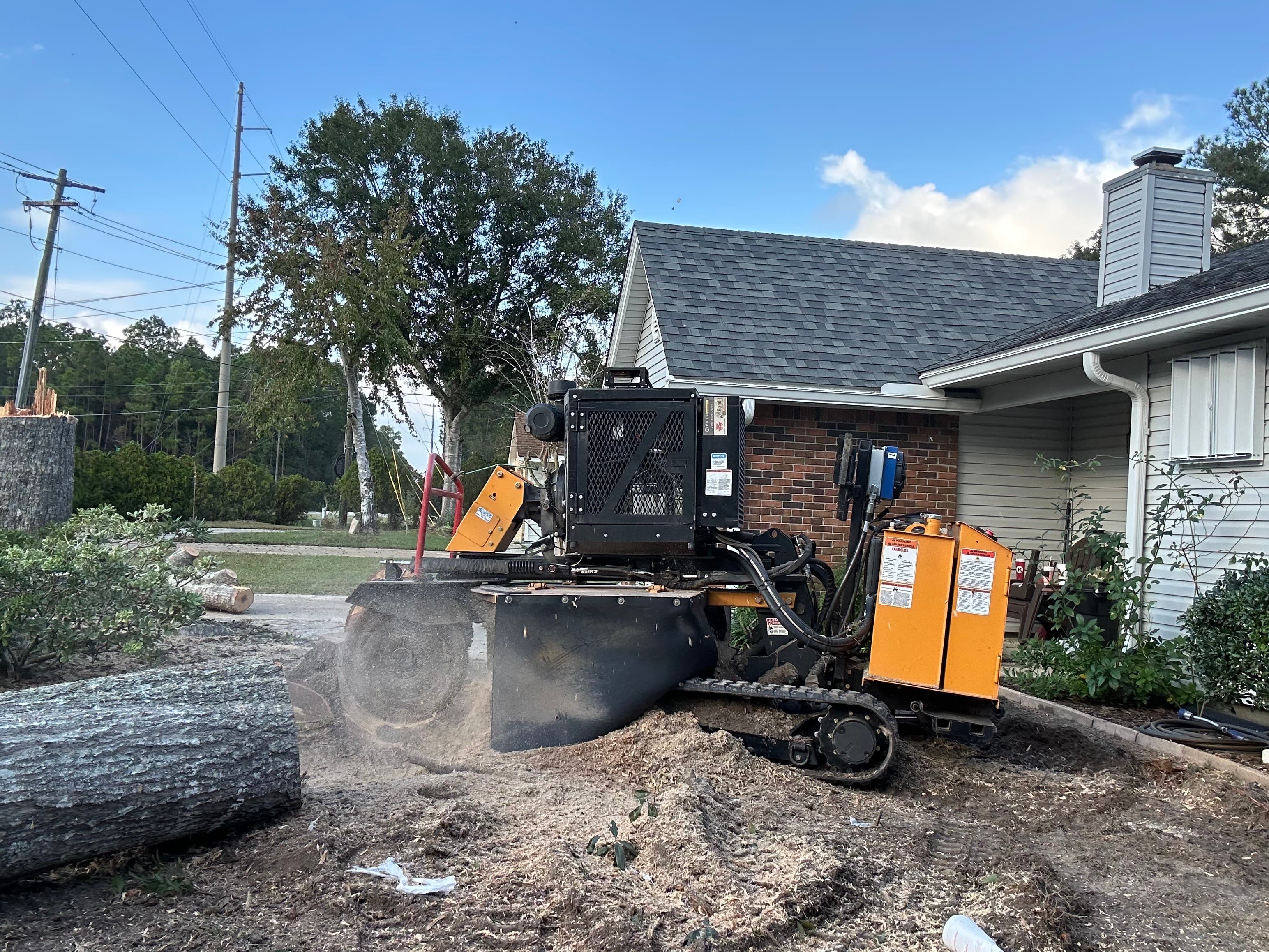 Stump grinding Gulf Coast