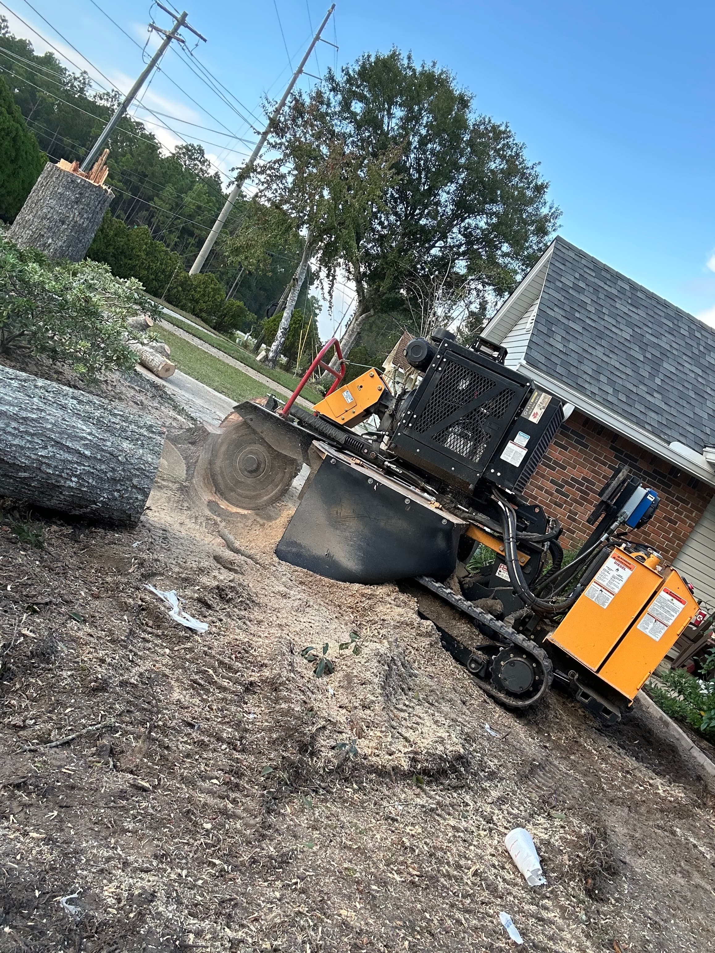 Stump grinding Mississippi