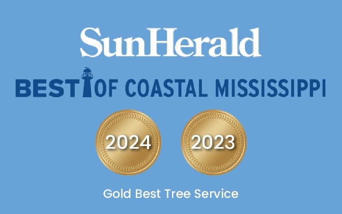 sunherald.jpg