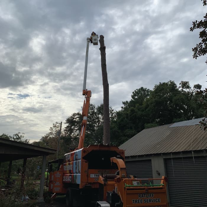 Emergency tree removal