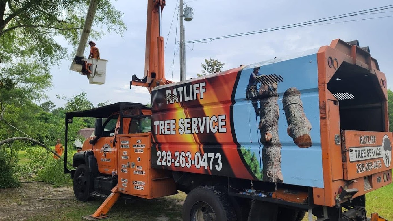 Professional tree trimming Biloxi